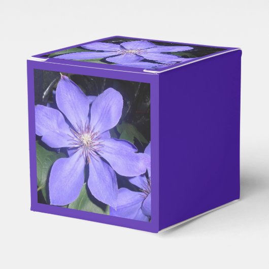 Césarine Geschenkschachtel (Vorderseite)