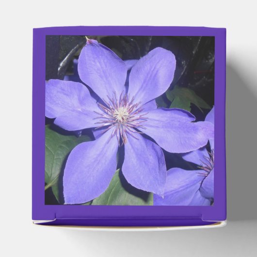 Césarine Geschenkschachtel (Oben)