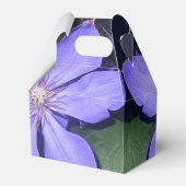 Césarine Geschenkschachtel (Rückseite)
