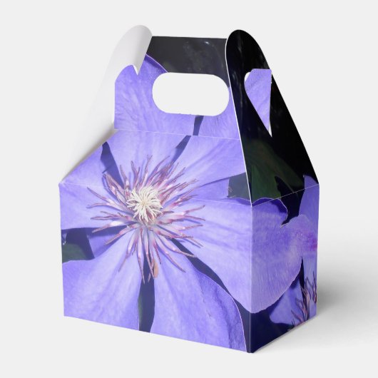 Césarine Geschenkschachtel (Vorderseite)