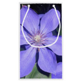 Césarine Kleine Geschenktüte (Rückseite)