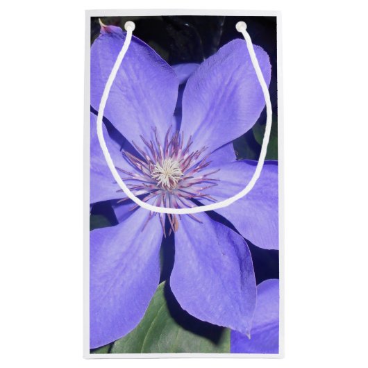 Césarine Kleine Geschenktüte (Rückseite)