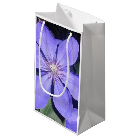 Césarine Kleine Geschenktüte (Vorderseite Schrägansicht)