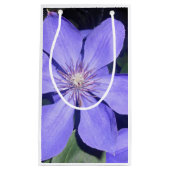 Césarine Kleine Geschenktüte (Vorderseite)