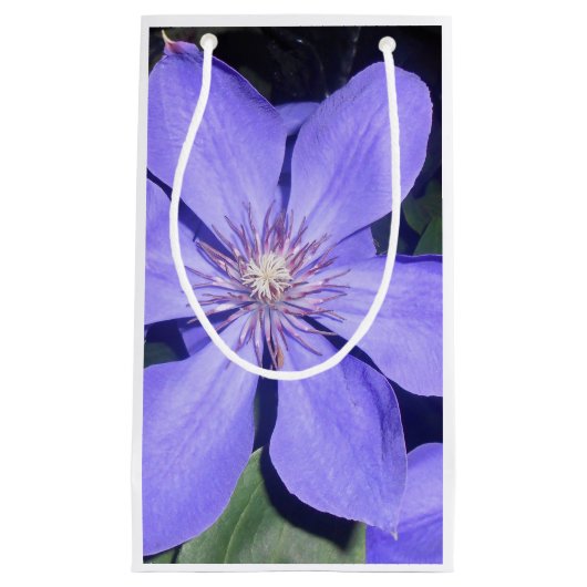 Césarine Kleine Geschenktüte (Vorderseite)