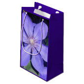 Césarine Kleine Geschenktüte (Rückseite Schrägansicht)