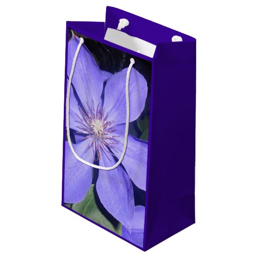 Césarine Kleine Geschenktüte (Rückseite Schrägansicht)