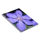 Césarine Notizblock (Rechte Seite)