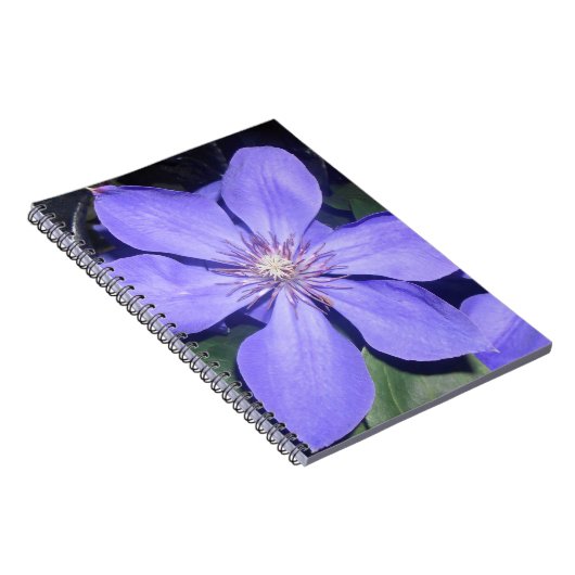 Césarine Notizblock (Rechte Seite)