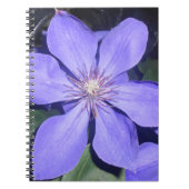 Césarine Notizblock (Vorderseite)