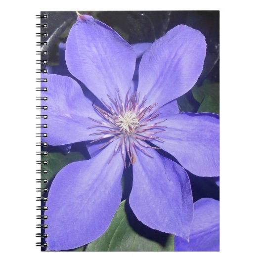 Césarine Notizblock (Vorderseite)