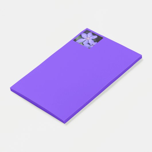 Césarine Post-it Klebezettel (angewinkelt)