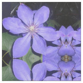 Césarine Stoff (Nahaufnahme)