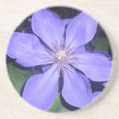 Césarine Untersetzer (Vorne)