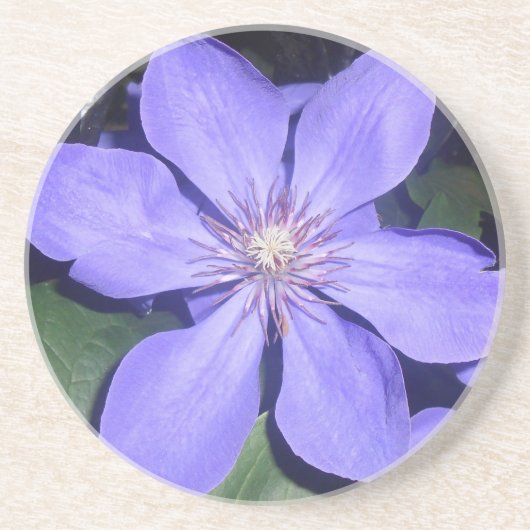 Césarine Untersetzer (Vorne)