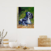 Cesky Terrier Dog Portrait Poster (Küche)