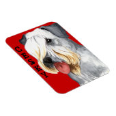 Cesky Terrier Farbblock Magnet (Rechte Seite)