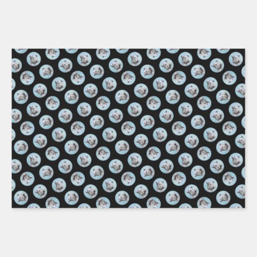 Cesky Terrier Malerei Niedlich Original Hunde Kuns Geschenkpapier Set (Vorderseite 3)