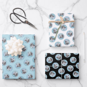Cesky Terrier Malerei Süß Original Haustier Hund K Geschenkpapier Set