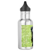 cesky-terrier.png trinkflasche (Links)