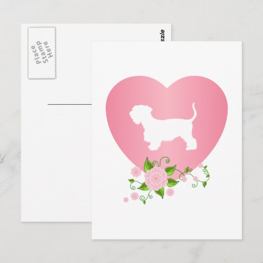 Cesky Terrier Postkarte (Vorne/Hinten)