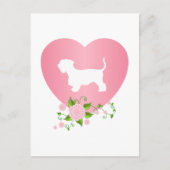 Cesky Terrier Postkarte (Vorderseite)