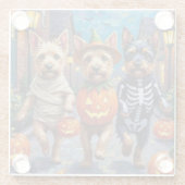 Cesky Terrier Trick-oder-Treating Halloween-Kostüm Glasuntersetzer (Rückseite)