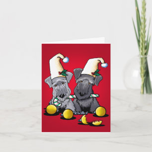 Cesky Terrier Weihnachten