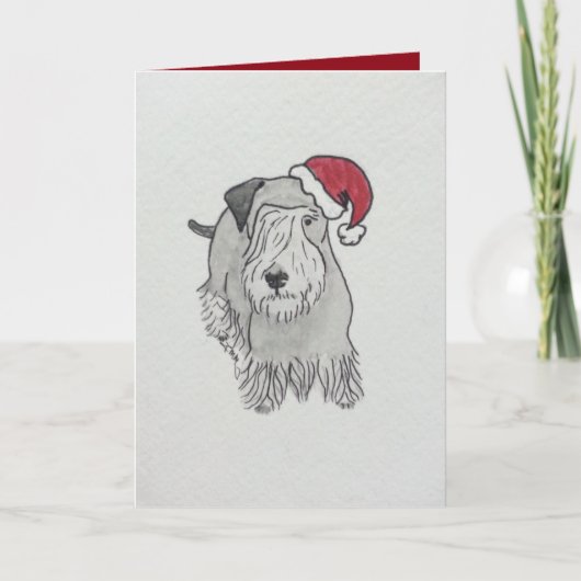 Cesky Terrier-Weihnachtsmannmütze Feiertagskarte (Vorderseite)