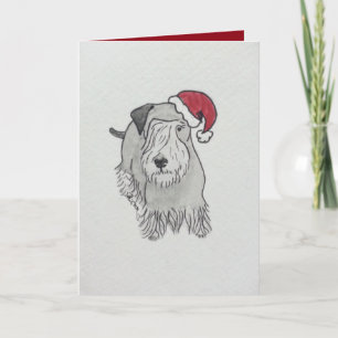 Cesky Terrier-Weihnachtsmannmütze Feiertagskarte