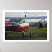 Cessna 172 und Schweizer 300C Poster (Vorne)