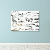 Cetacea Edentata Leinwanddruck (Insitu (Holzboden))