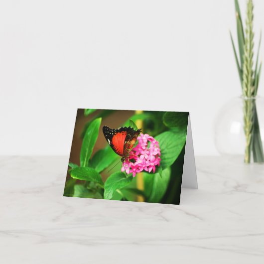 Cethosia Biblis Card Karte (Vorderseite)