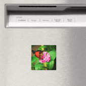 Cethosia biblis Magnet (In Situ (Geschirrspüler))