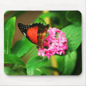 Cethosia biblis Mousepad (Vorne)