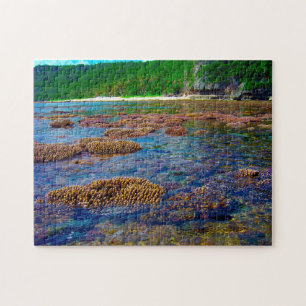 Cetti Bay Guam. Puzzle