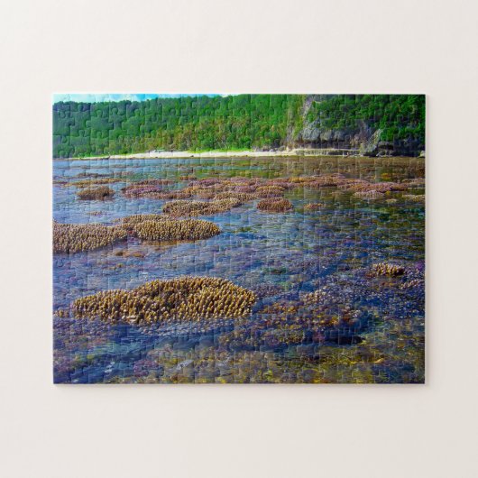 Cetti Bay Guam. Puzzle (Horizontal)