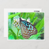 Ceylon Blue Glassy Tiger Postkarte (Vorne/Hinten)