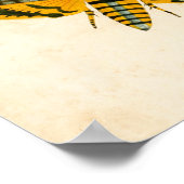 Ceylon Tree Nymph Butterfly & Acherontia Moths Poster (Ecke)