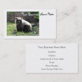 CGB molliger Grizzlybär Visitenkarte (Vorne/Hinten)