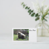 CGB molliger Grizzlybär Visitenkarte (Stehend Vorderseite)