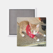 CGK-KÜHLSCHRANKMAGNET MAGNET (Vorderseite/Rückseite)