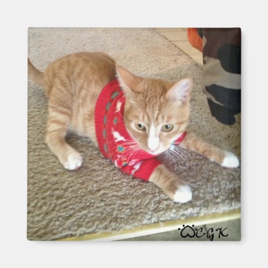 CGK-KÜHLSCHRANKMAGNET MAGNET (Vorne)