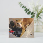 CGK POST CARD POSTKARTE (Stehend Vorderseite)