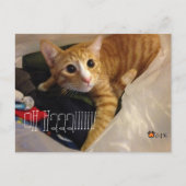 CGK POST CARD POSTKARTE (Vorderseite)