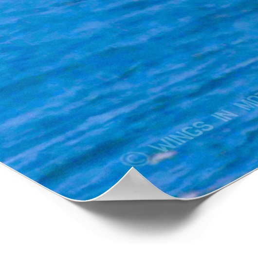 CH-46E MEERESKNIGHT POSTER (Ecke)