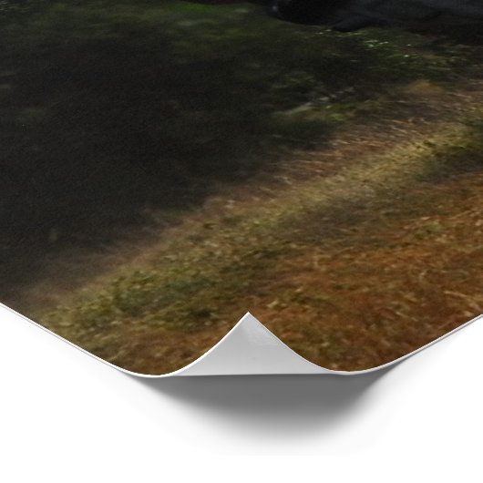 CH-46E Seeknight Poster (Ecke)