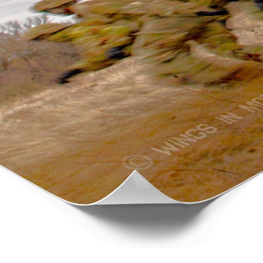 CH-47F CHINOOK POSTER (Ecke)