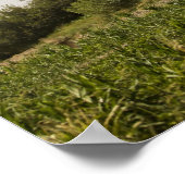 CH-53D Seehengst Poster (Ecke)