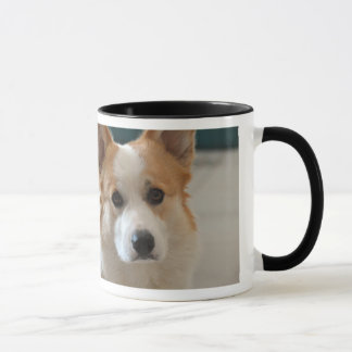 CH. BULLDOZER - Pembrokewalisercorgigesicht Tasse